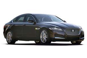 XF