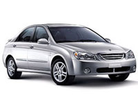 Cerato